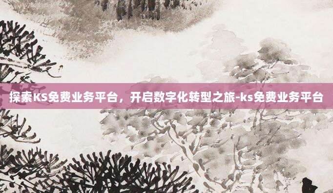 探索KS免费业务平台,开启数字化转型之旅-ks免费业务平台