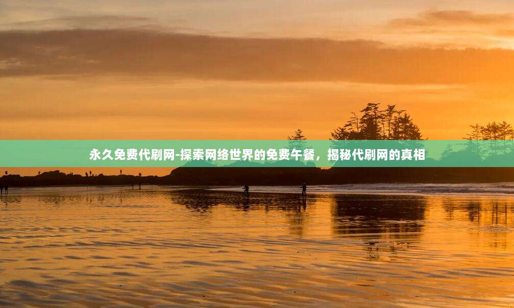 永久免费代刷网-探索网络世界的免费午餐,揭秘代刷网的真相