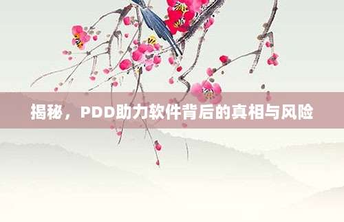 揭秘,PDD助力软件背后的真相与风险