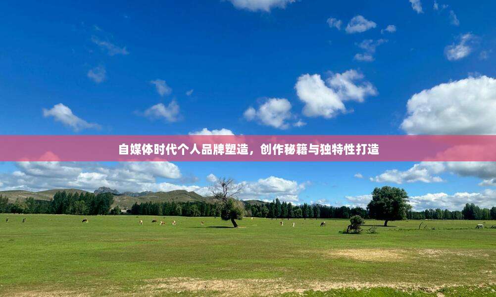 自媒体时代个人品牌塑造,创作秘籍与独特性打造