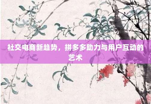 社交电商新趋势,拼多多助力与用户互动的艺术
