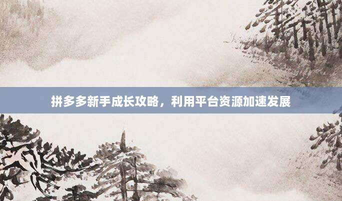 拼多多新手成长攻略,利用平台资源加速发展