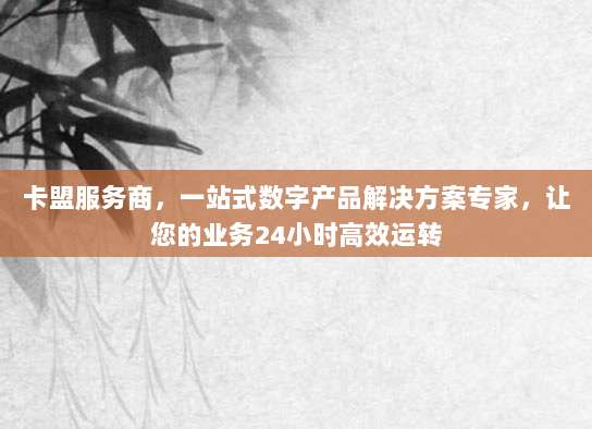 卡盟服务商,一站式数字产品解决方案专家,让您的业务24小时高效运转