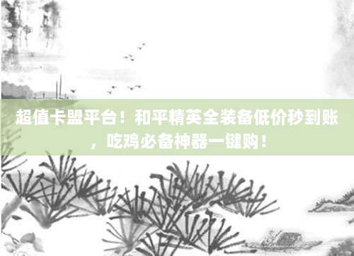 超值卡盟平台!和平精英全装备低价秒到账,吃鸡必备神器一键购!