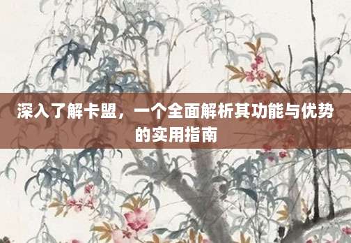 深入了解卡盟,一个全面解析其功能与优势的实用指南