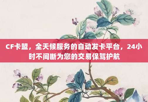 CF卡盟,全天候服务的自动发卡平台,24小时不间断为您的交易保驾护航
