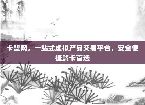 卡盟网,一站式虚拟产品交易平台,安全便捷购卡首选