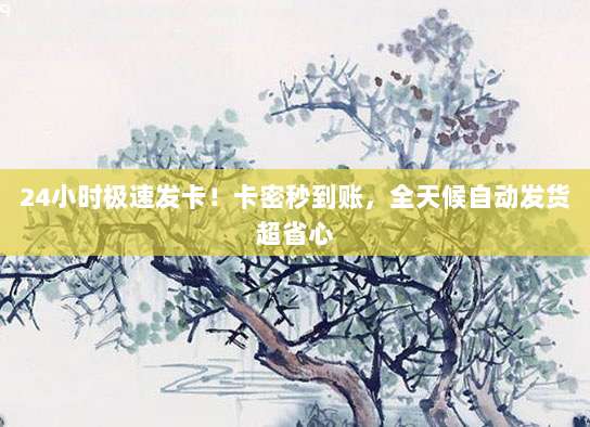 24小时极速发卡!卡密秒到账,全天候自动发货超省心