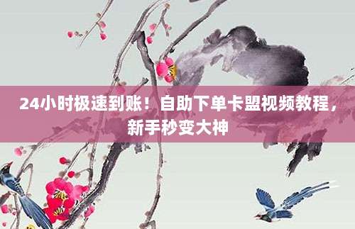 24小时极速到账!自助下单卡盟视频教程,新手秒变大神