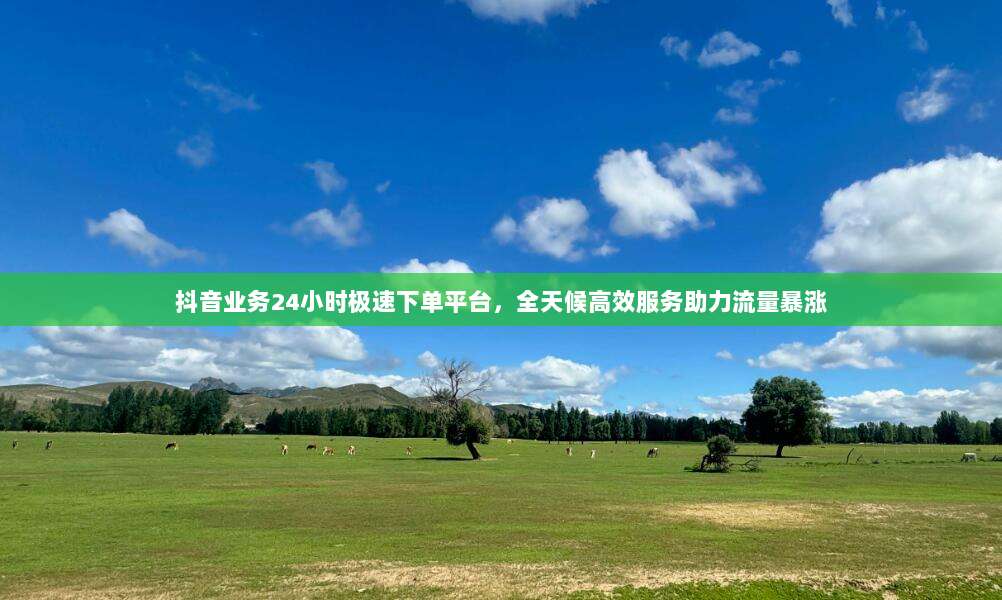 抖音业务24小时极速下单平台,全天候高效服务助力流量暴涨