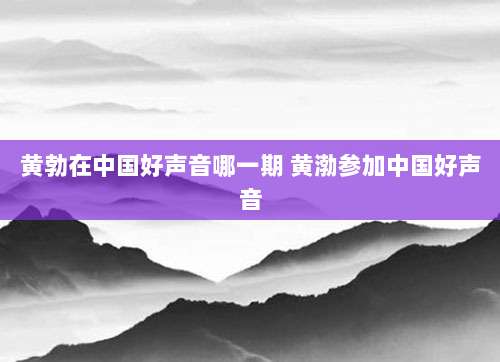 黄勃在中国好声音哪一期 黄渤参加中国好声音